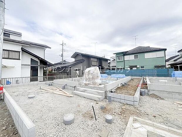 2026年3月19日撮影