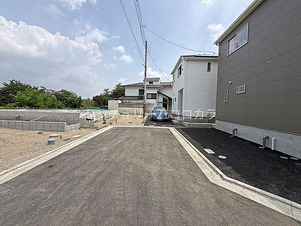 2026年7月24日撮影