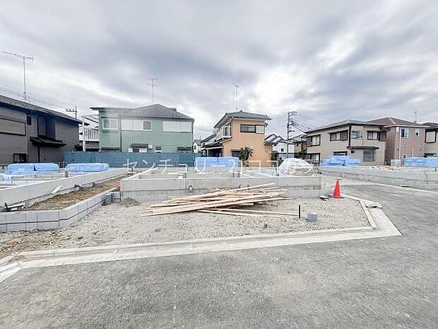 2026年3月19日撮影