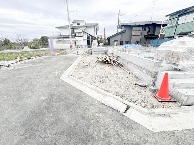 2026年3月19日撮影