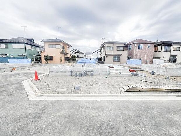 2026年3月19日撮影