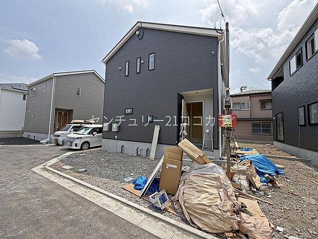 2026年7月24日撮影