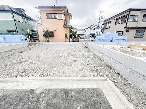 2026年3月19日撮影