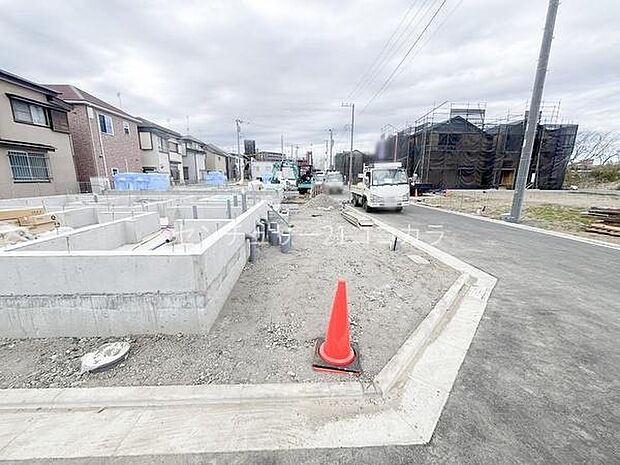 2026年3月19日撮影