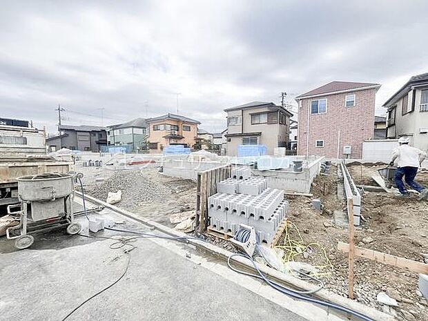 2026年3月19日撮影