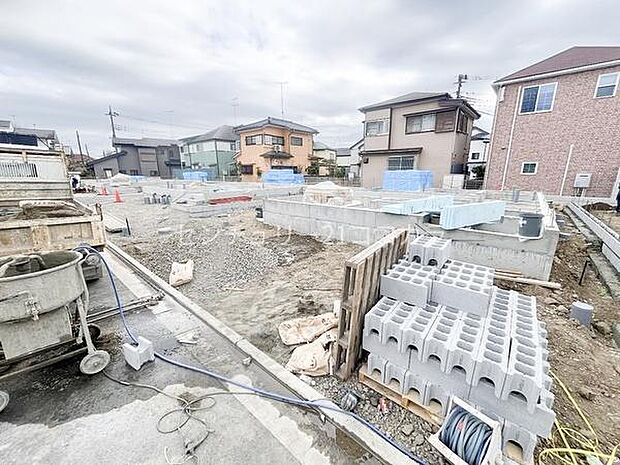 2026年3月19日撮影