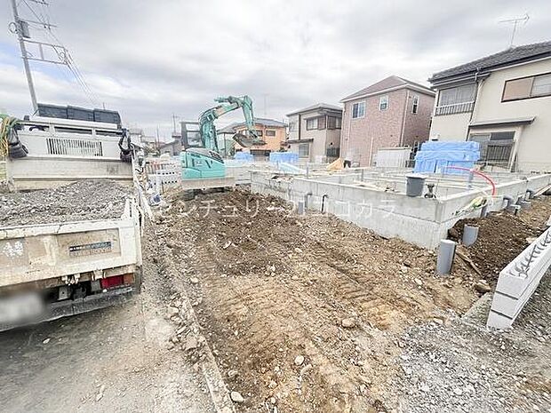 2026年3月19日撮影