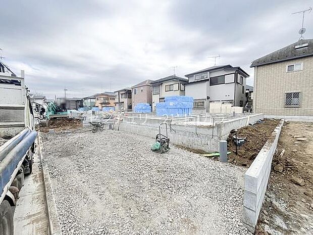 2026年3月19日撮影