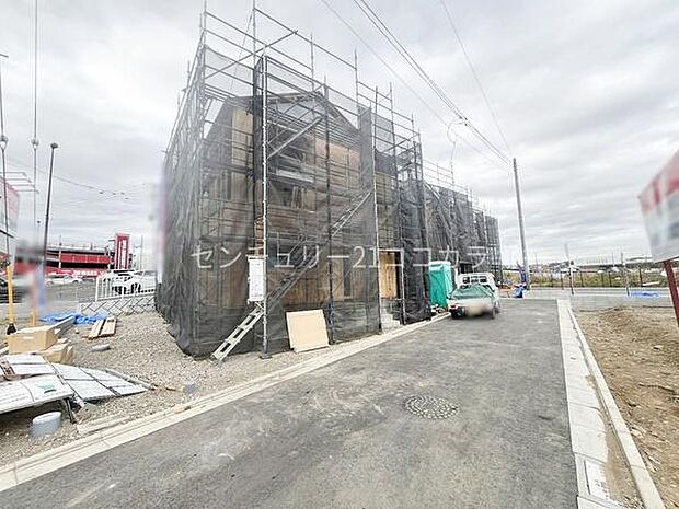 2026年3月19日撮影