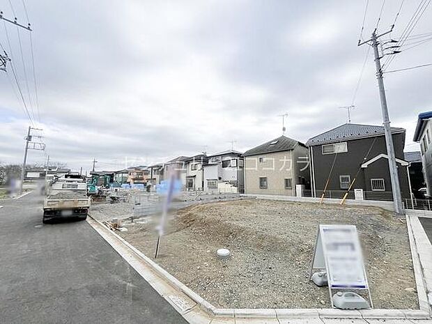 2026年3月19日撮影