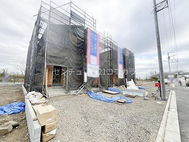 2026年3月19日撮影