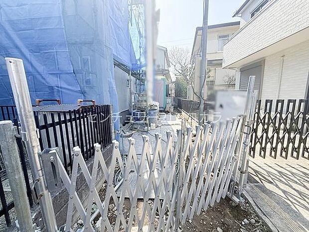 2026年3月23日撮影