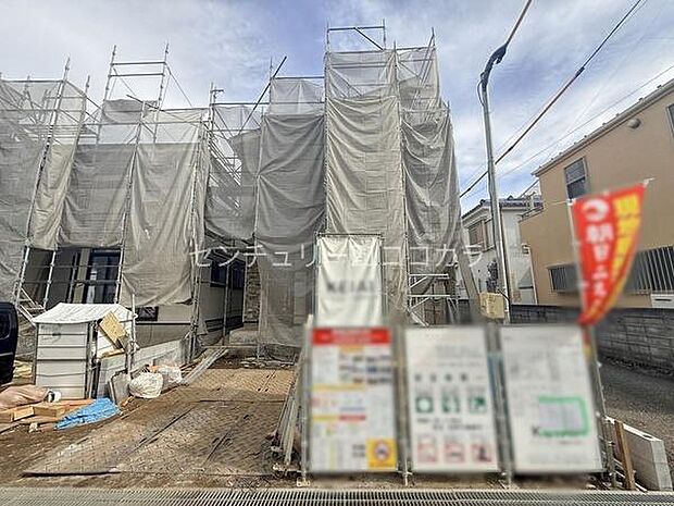 2026年4月17日撮影