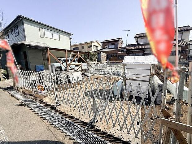 2026年3月1日撮影