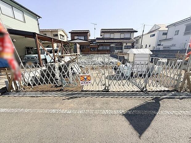 2026年3月1日撮影