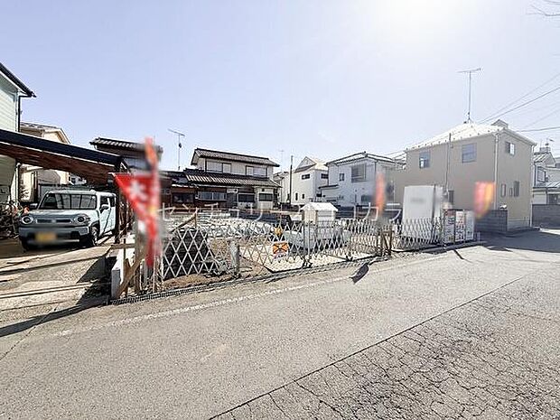 2026年3月1日撮影 全体写真