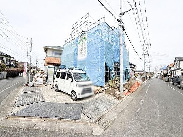 2026年3月22日撮影