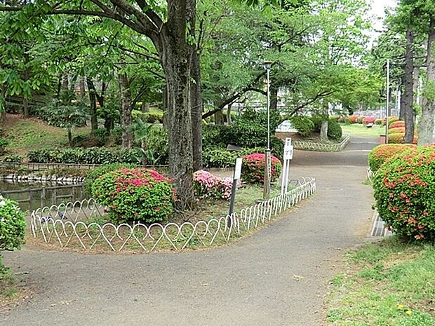 六本杉公園まで1000m