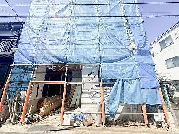 2026年3月15日撮影