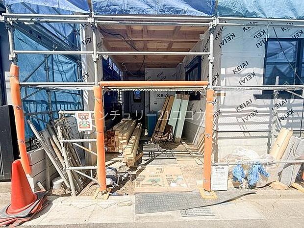 2026年3月15日撮影