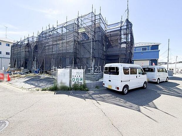 2026年5月11日撮影
