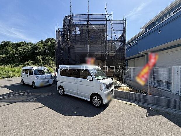 2026年5月11日撮影