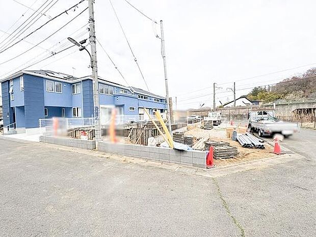 2026年3月23日撮影