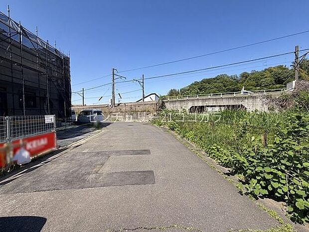 2026年5月11日撮影