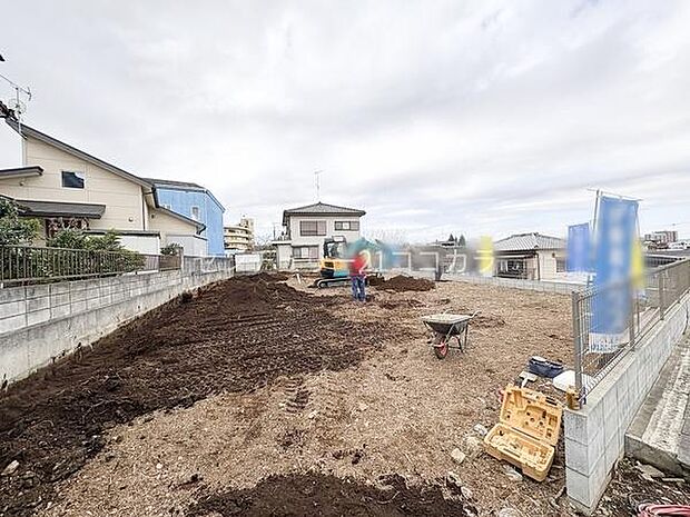 2026年3月6日撮影