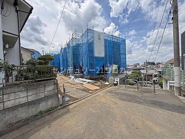 2026年6月19日撮影