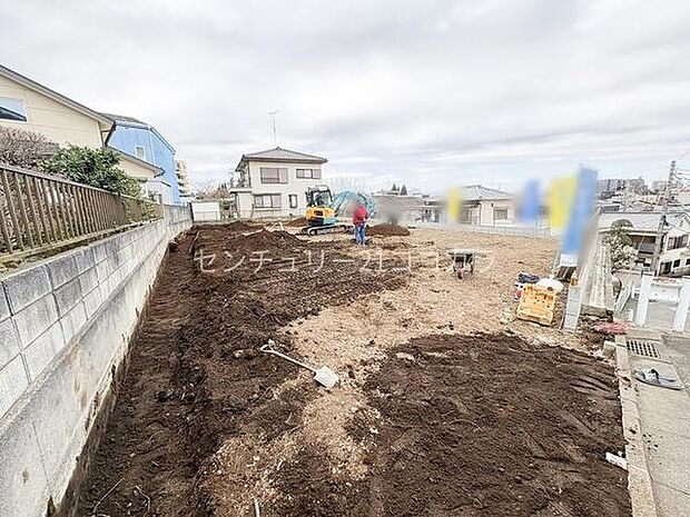 2026年3月6日撮影