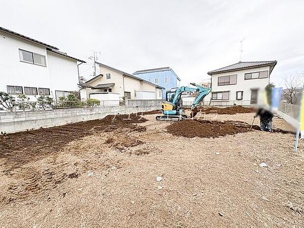 2026年3月6日撮影