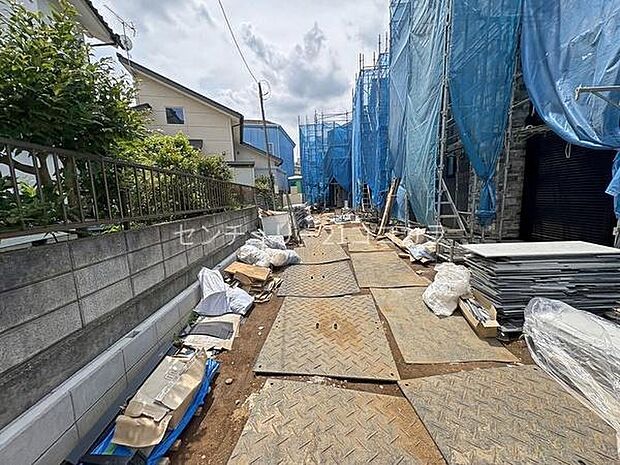 2026年6月19日撮影