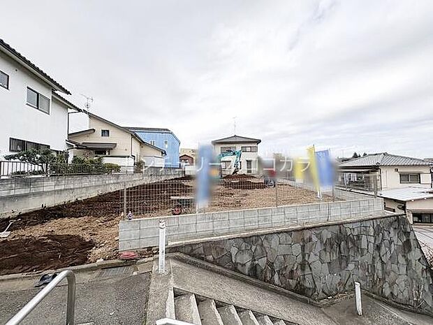 2026年3月6日撮影