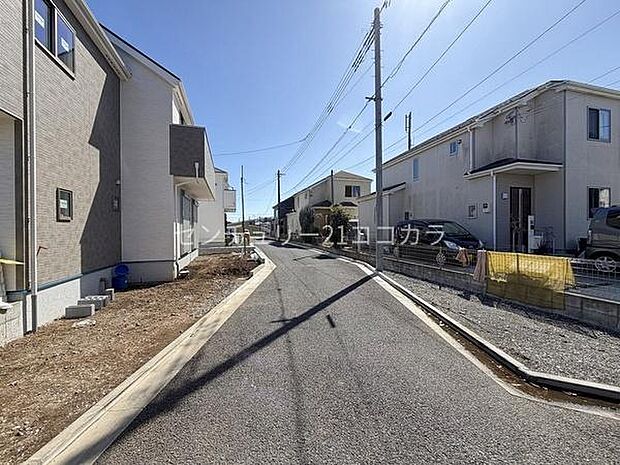 2026年3月8日撮影