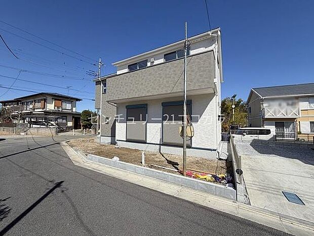 2026年3月8日撮影