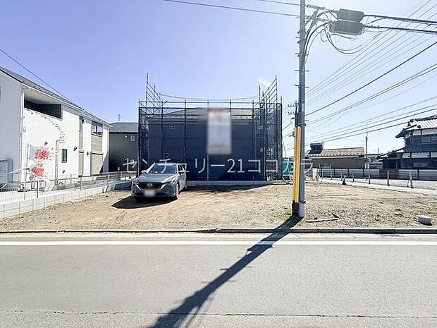 2026年3月8日撮影