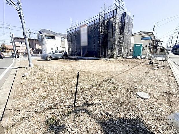 2026年3月8日撮影