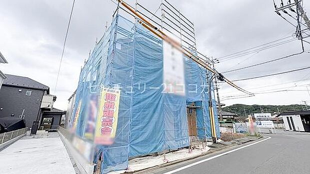 2026年7月27日撮影