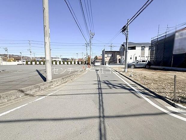 2026年3月8日撮影