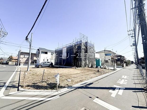 2026年3月8日撮影