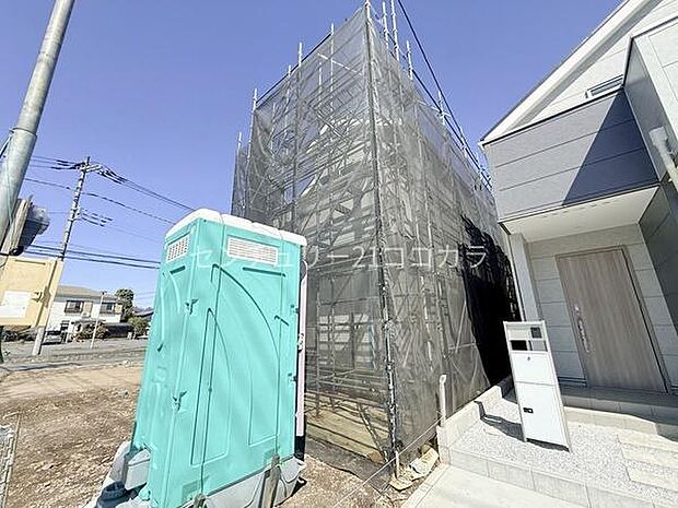 2026年3月8日撮影