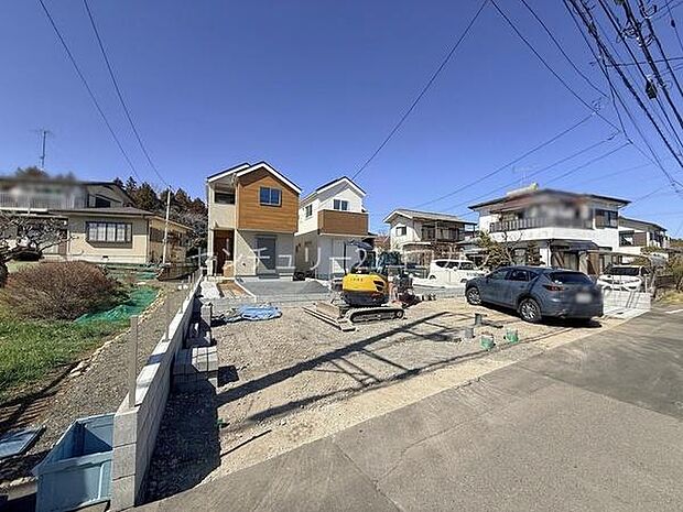 2026年3月8日撮影