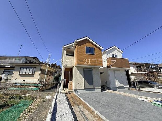 2026年3月8日撮影