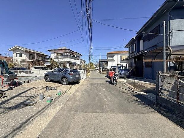 2026年3月8日撮影