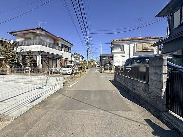 2026年3月8日撮影