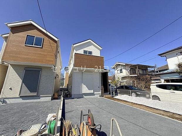 2026年3月8日撮影