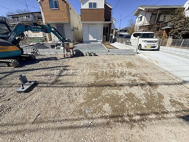 2026年3月8日撮影