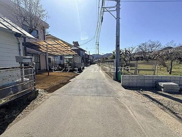 2026年3月8日撮影