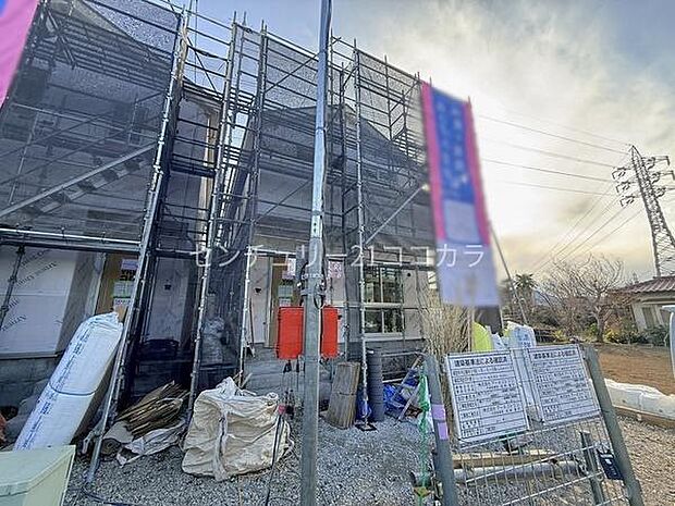 2026年3月12日撮影